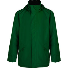 Мужская куртка Europa, зеленая цена и информация | Мужские куртки | 220.lv