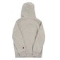 Džemperis champion rochester hooded sweatshirt 305949em031 305949EM031 цена и информация | Zēnu jakas, džemperi, žaketes, vestes | 220.lv