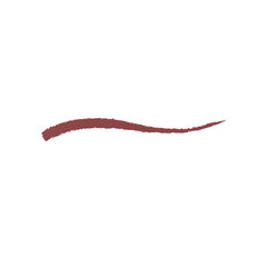 Автоматический карандаш для губ Kiko Milano Everlasting Colour Precision Lip Liner, 404 Brick цена и информация | Помады, бальзамы, блеск для губ | 220.lv