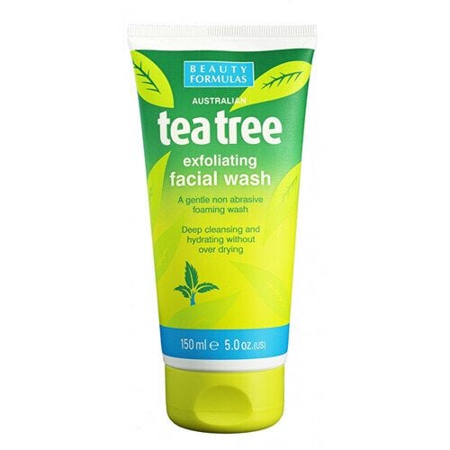 Tea Tree tīrīšanas gels (Exfoliating Facial Wash), 150 ml cena un informācija | Sejas ādas kopšana | 220.lv