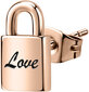 La Petite Story Viens bronzas auskars Padlock Love LPS02ASD04 cena un informācija | Auskari | 220.lv