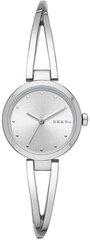 DKNY Crosswalk NY2789 цена и информация | Женские часы | 220.lv