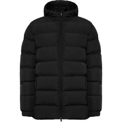 Куртка NEPAL, черная цена и информация | Мужские куртки | 220.lv