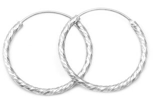 Удивительные серебряные круглые серьги Beneto AGUC350 цена и информация | Серьги | 220.lv