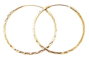 Модные позолоченные круглые серьги из серебра Beneto AGUC2439 / SCS-GOLD цена и информация | Серебряный кулон | 220.lv