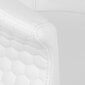 Profesionāls friziera krēsls Gabbiano Wersal, balta cena un informācija | Mēbeles skaistumkopšanas saloniem | 220.lv