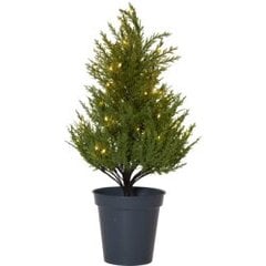 Dekoratīvs koks zaļš 55cm 40LED 3AA Thuja 600-25 cena un informācija | Ziemassvētku dekorācijas | 220.lv