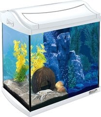 Tetra Aquaart LED akvārija komplekts 30 litri ,balts cena un informācija | Akvāriji un aprīkojums | 220.lv