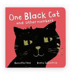 One Black Cat and other numbers цена и информация | Книги для малышей | 220.lv