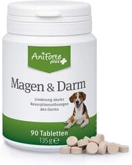 ANIFORTE kuņģa un zarnu suņi Tabletes 90 gabalos akūta caureja un kuņģa-zarnu trakta sūdzības, veidojiet prebiotikas zarnu florai cena un informācija | Vitamīni, uztura bagātinātāji, pretparazītu līdzekļi suņiem | 220.lv