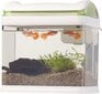 Sweetypet akvārijs: transportēšanas zivju baseins ar filtru, LED apgaismojumu un USB, 3,3 litri (mini akvārijs) цена и информация | Akvāriji un aprīkojums | 220.lv