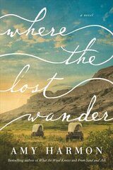 Where the Lost Wander: A Novel цена и информация | Фантастика, фэнтези | 220.lv