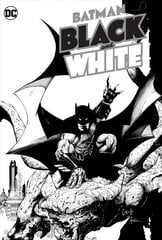 Batman Black & White цена и информация | Фантастика, фэнтези | 220.lv