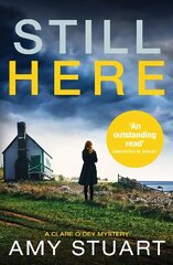 Still Here: An absolutely gripping private investigator crime novel цена и информация | Фантастика, фэнтези | 220.lv