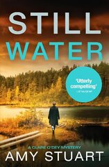 Still Water: An absolutely gripping private investigator crime novel cena un informācija | Fantāzija, fantastikas grāmatas | 220.lv