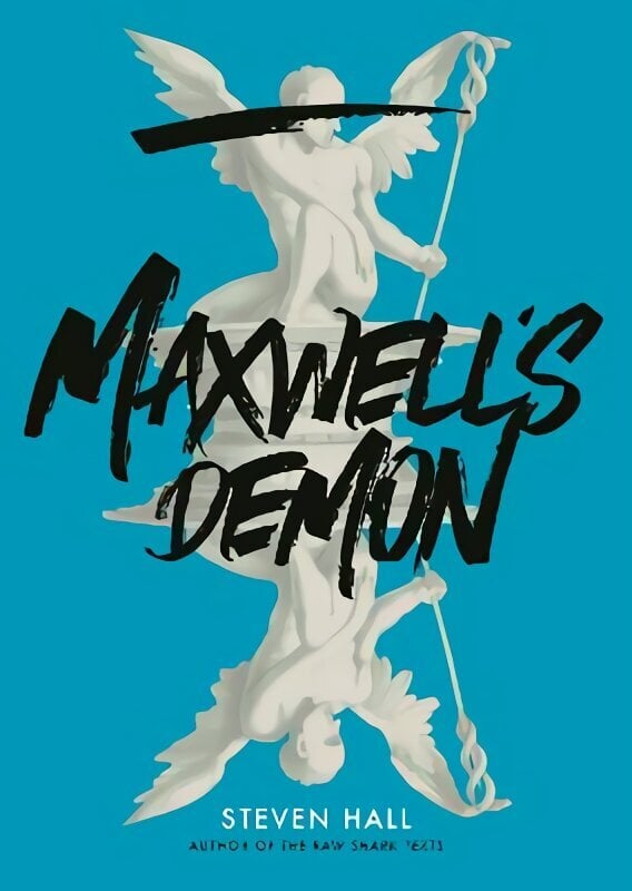 Maxwell's Demon Main цена и информация | Fantāzija, fantastikas grāmatas | 220.lv