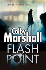 Flash Point: A Psychological Thriller Large type / large print edition цена и информация | Фантастика, фэнтези | 220.lv