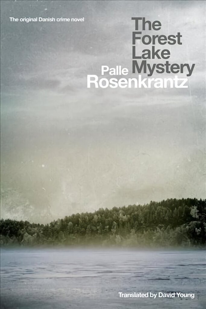 Forest Lake Mystery цена и информация | Fantāzija, fantastikas grāmatas | 220.lv