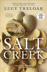 Salt Creek цена и информация | Фантастика, фэнтези | 220.lv