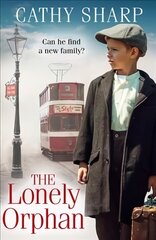 Lonely Orphan цена и информация | Фантастика, фэнтези | 220.lv