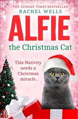 Alfie the Christmas Cat цена и информация | Фантастика, фэнтези | 220.lv