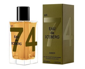 Туалетная вода Iceberg Eau de Iceberg Amber edt 100 мл цена и информация | Мужские духи | 220.lv