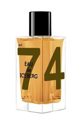 Tualetes ūdens Iceberg Eau de Iceberg Amber edt 100 ml cena un informācija | Vīriešu smaržas | 220.lv