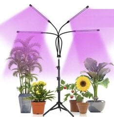 LED Lampa augu augšanai 4 gab. цена и информация | Проращиватели, лампы для растений | 220.lv