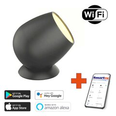 LED Wi-Fi dekorativais gaismeklis цена и информация | Уличное освещение | 220.lv