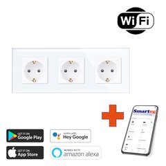 Smart gudra rozete 3x Wi-Fi cena un informācija | Elektrības slēdži, rozetes | 220.lv
