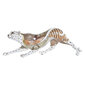Dekoratīvās figūriņas DKD Home Decor Oranžs Balts Leoparda Sveķi (37 x 10 x 13 cm) cena un informācija | Interjera priekšmeti | 220.lv