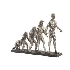 Декоративная фигура DKD Home Decor Origin of Species (55 x 18 x 42 см) цена и информация | Детали интерьера | 220.lv