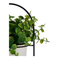 Декоративное растение Ibergarden (14 x 30 x 14 см) цена и информация | Искусственный букет DKD Home Decor, 2 шт | 220.lv