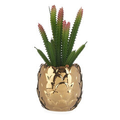 Dekoratīvs Augs Bronza Kaktuss Keramika Plastmasa (8 x 20 x 8 cm) cena un informācija | Mākslīgie ziedi | 220.lv