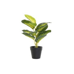 Dekoratīvs Augs DKD Home Decor Melns Zaļš PVC PP (25 x 25 x 30 cm) cena un informācija | Mākslīgie ziedi | 220.lv