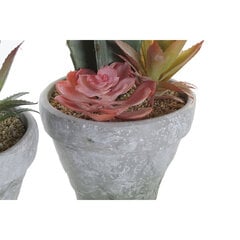 Декоративное растение DKD Home Decor EVA PE (17 x 16 x 28 см) (2 шт.) цена и информация | Искусственные цветы | 220.lv