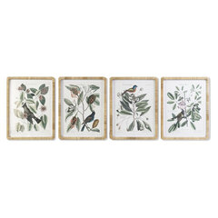 Glezna DKD Home Decor Botāniskie augi (50 x 2,5 x 65 cm) (4 gb.) cena un informācija | Gleznas | 220.lv