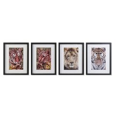 Glezna DKD Home Decor Koloniāls Džungļi (35 x 2,5 x 45 cm) (4 gb.) cena un informācija | Gleznas | 220.lv
