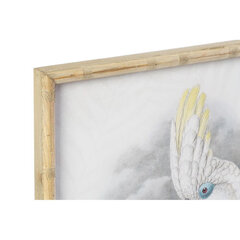 Картина DKD Home Decor Птица (50 x 2.8 x 70 см) (2 шт.) цена и информация | Картины | 220.lv