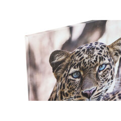 Glezna DKD Home Decor Leoparda (50 x 1.8 x 70 cm) (3 pcs) cena un informācija | Gleznas | 220.lv