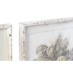 Glezna DKD Home Decor Plaukstas Koloniāls (70 x 4 x 100 cm) (3 gb.) cena un informācija | Gleznas | 220.lv