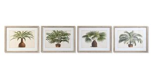 Картина DKD Home Decor, Пальмы (65 x 2 x 50 cm) (4 шт.) цена и информация | Картины | 220.lv