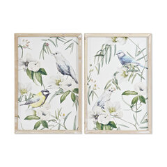 Картина DKD Home Decor, птицы (2 шт.) (40 x 2 x 60 cm) цена и информация | Картины | 220.lv