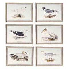 Картина DKD Home Decor, птицы (70 x 2,5 x 50 cm) (6 шт.) цена и информация | Картины | 220.lv