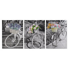 Картина DKD Home Decor, Велосипед (50 x 2,5 x 70 cm) (3 шт.) цена и информация | Картины | 220.lv