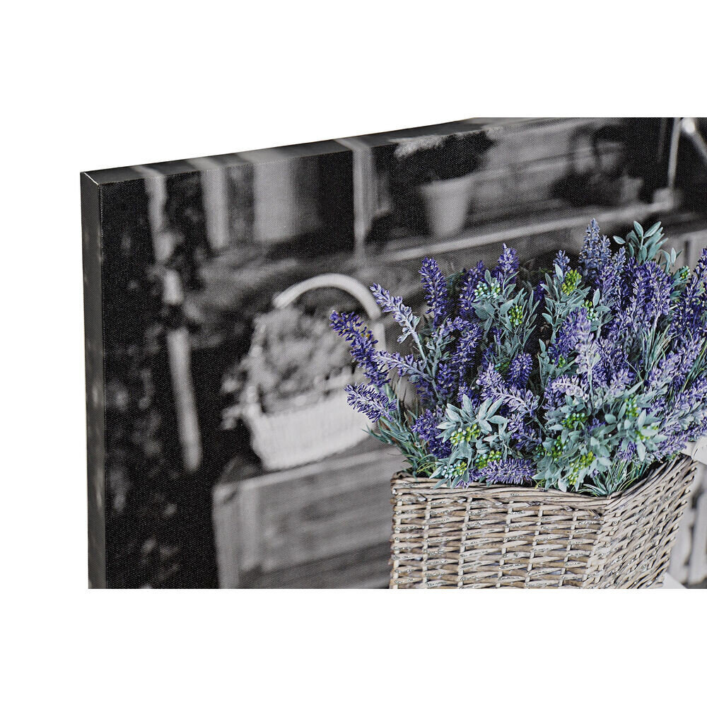 Glezna DKD Home Decor Ritenis (50 x 2,5 x 70 cm) (3 gb.) cena un informācija | Gleznas | 220.lv