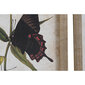 Glezna DKD Home Decor Tauriņi Shabby Chic (40 x 2 x 50 cm) (4 gb.) cena un informācija | Gleznas | 220.lv