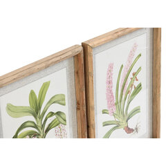 Картина DKD Home Decor Тропические цветы, растения и деревья (35 x 2.8 x 45 см) (9 шт.) цена и информация | Картины | 220.lv