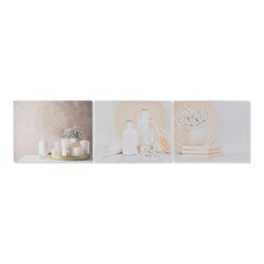 Glezna DKD Home Decor Vāze (50 x 1.8 x 40 cm) (3 pcs) cena un informācija | Gleznas | 220.lv