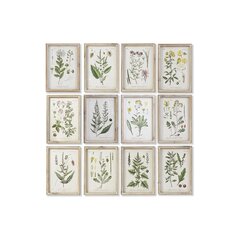 Glezna DKD Home Decor Ziedi, augi un koki Shabby Chic (24 x 2 x 34,5 cm) (12 gb.) цена и информация | Картины | 220.lv